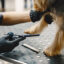 tavoli da toelettatura per cani